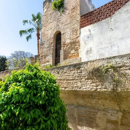 Old Cellar Surrounded By A 12th Century Parking Free Homestay Jerez de la Frontera